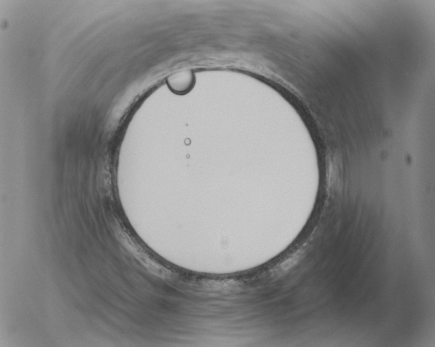 X0000053111498200508012111