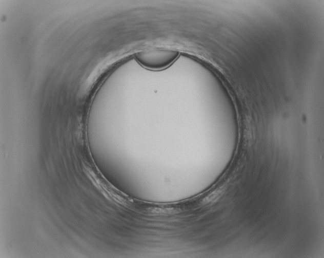 X0000053111499200508012111