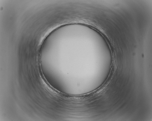 X0000053111500200508012111