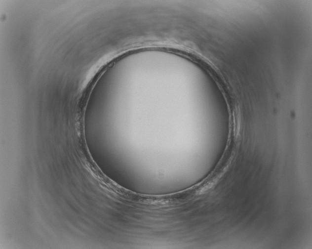 X0000053111501200508012111