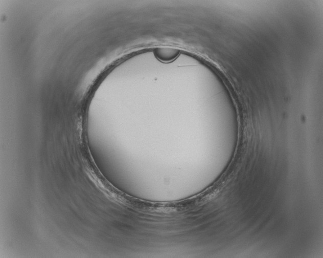 X0000053111503200508012111