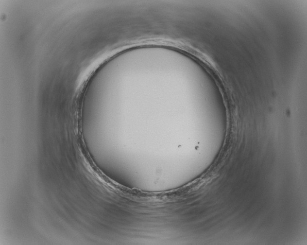 X0000053111504200508012111