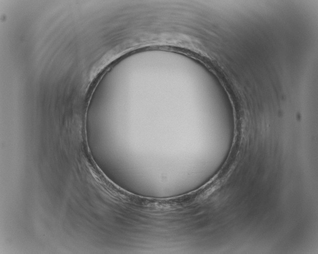 X0000053111505200508012111