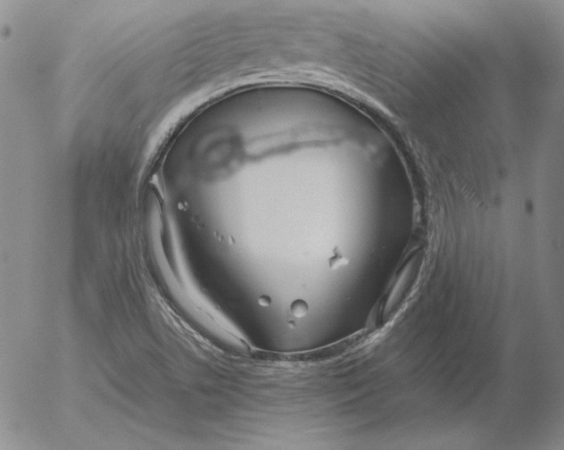 X0000053111506200508012111