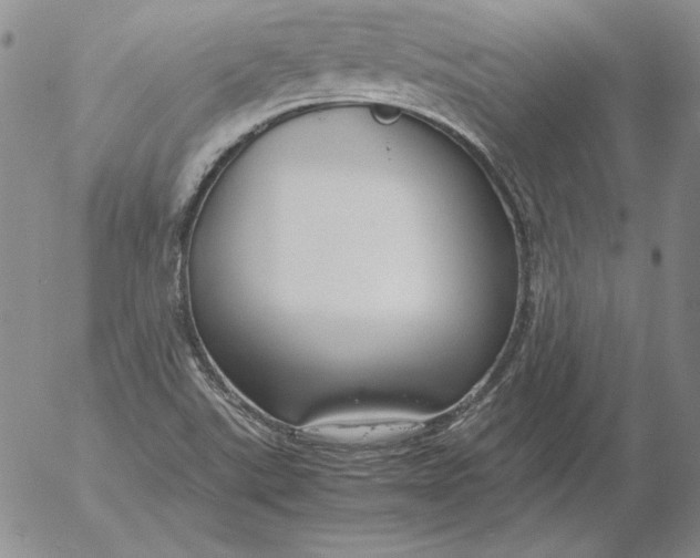 X0000053111507200508012111