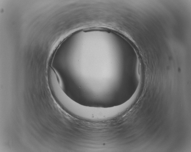 X0000053111508200508012111