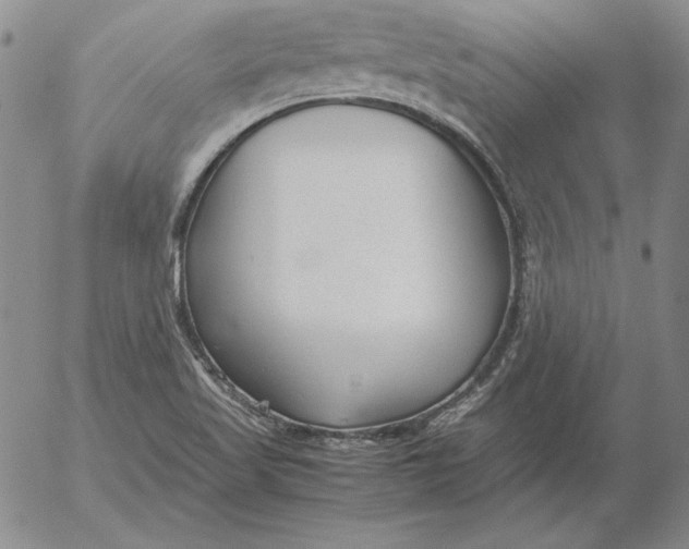 X0000053111509200508012111