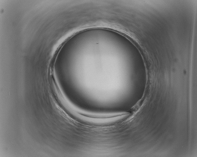 X0000053111510200508012111