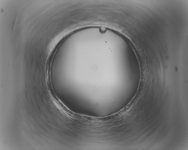 X0000053111511200508012111