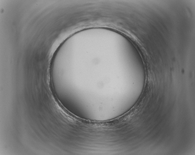 X0000053111512200508012111