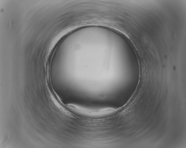 X0000053111515200508012111