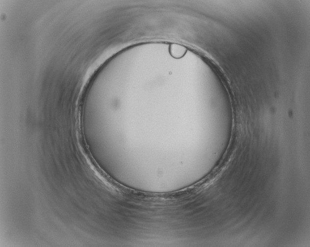 X0000053111517200508012111