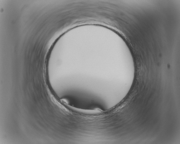 X0000053111518200508012111