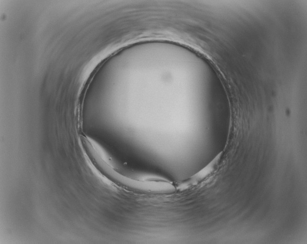 X0000053111519200508012111