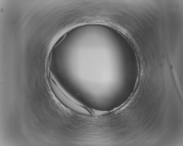 X0000053111520200508012111