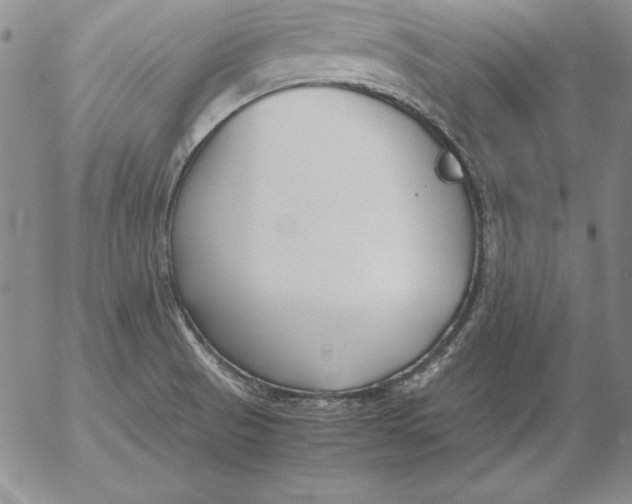 X0000053111521200508012111