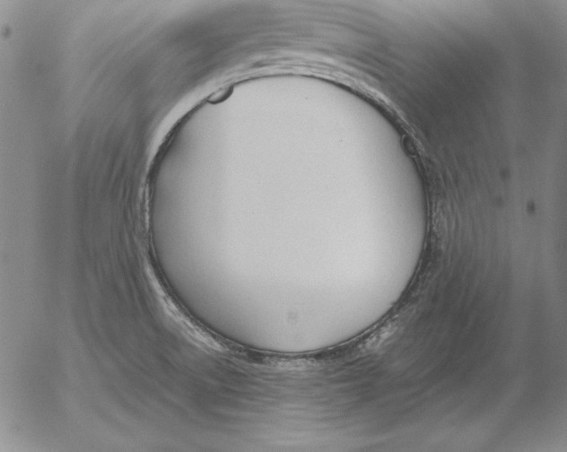 X0000053111522200508012111