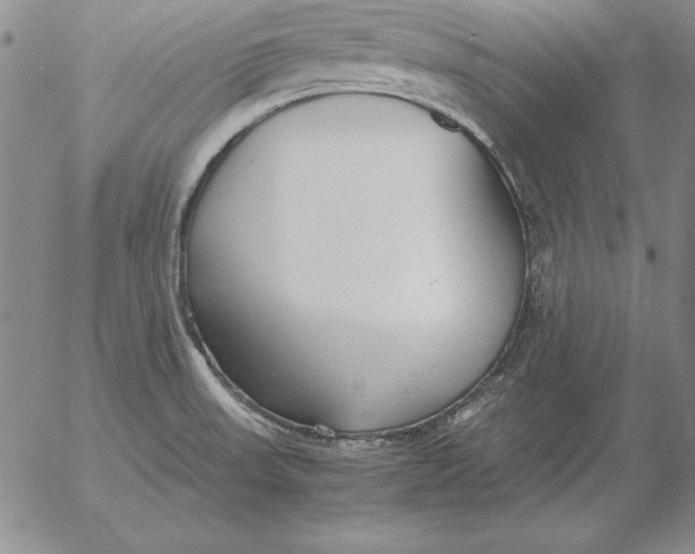 X0000053111523200508012111