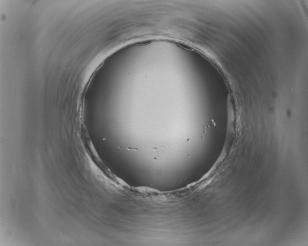 X0000053111524200508012111