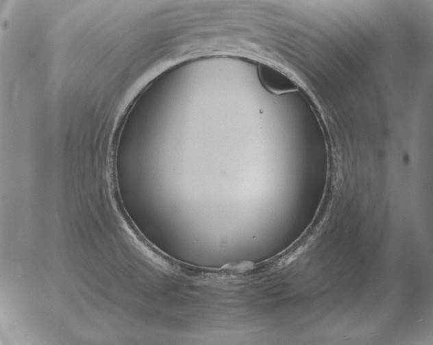 X0000053111525200508012111