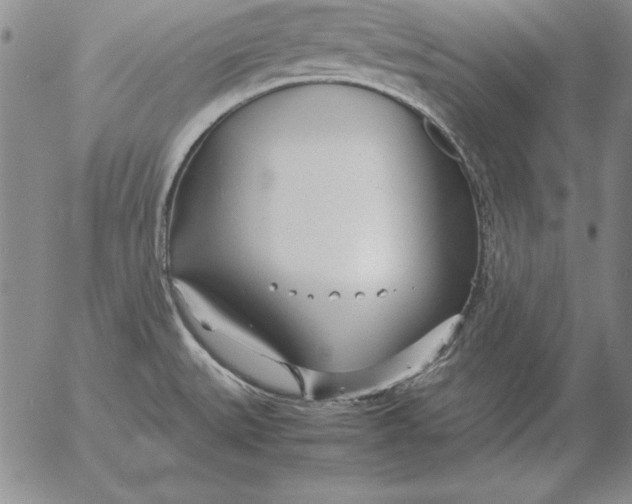 X0000053111527200508012111