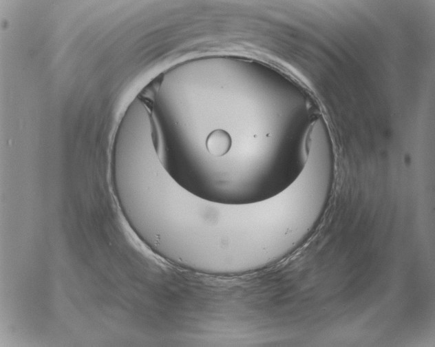 X0000053111528200508012111