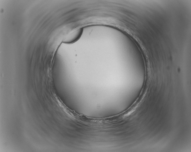 X0000053111529200508012111