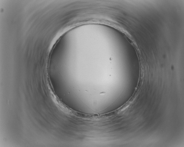 X0000053111530200508012111