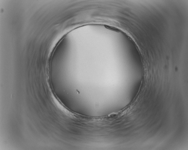 X0000053111531200508012111