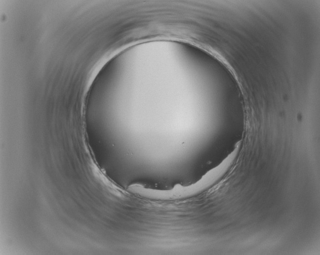 X0000053111532200508012111