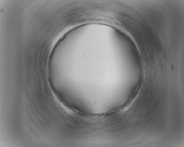 X0000053111533200508012111