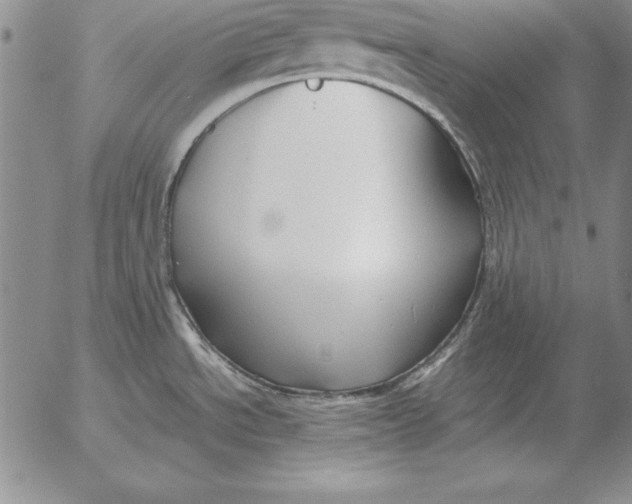 X0000053111534200508012111