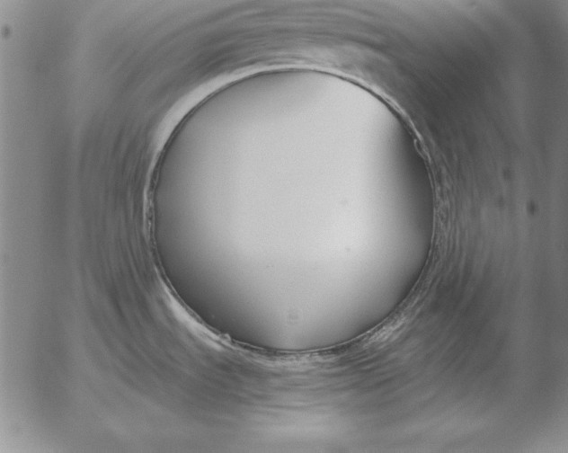 X0000053111535200508012111