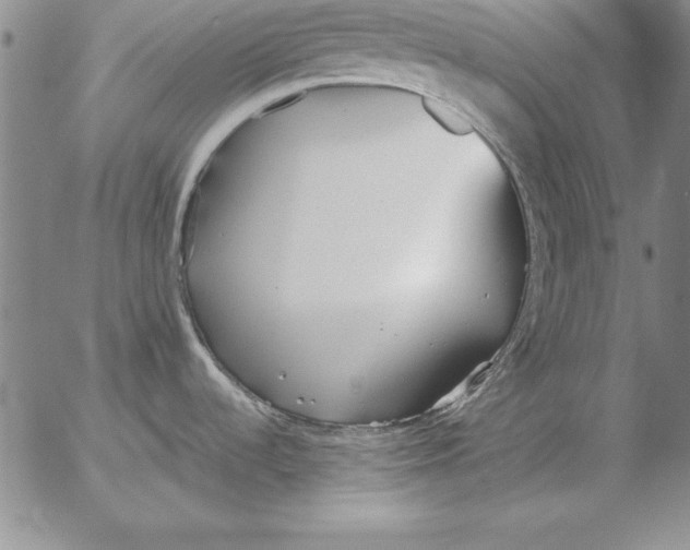 X0000053111536200508012111