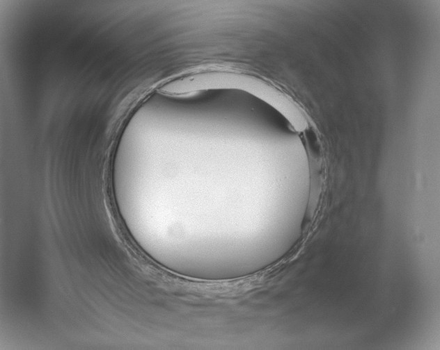 X0000053110001200508081238