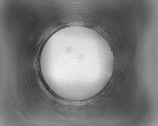 X0000053110002200508081237