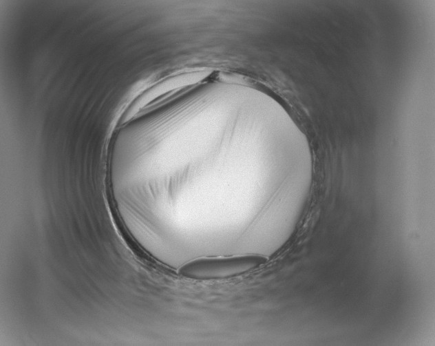 X0000053110003200508081237