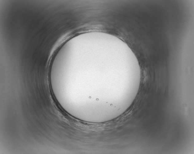 X0000053110004200508081237