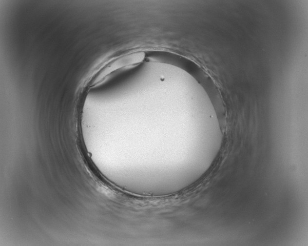 X0000053110005200508081237