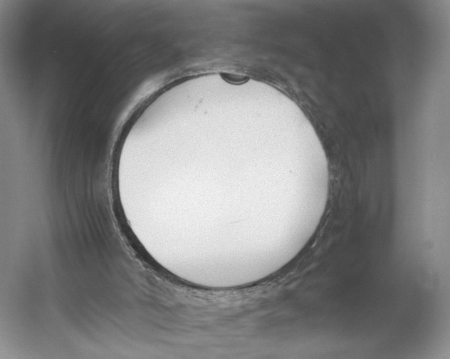 X0000053110006200508081237