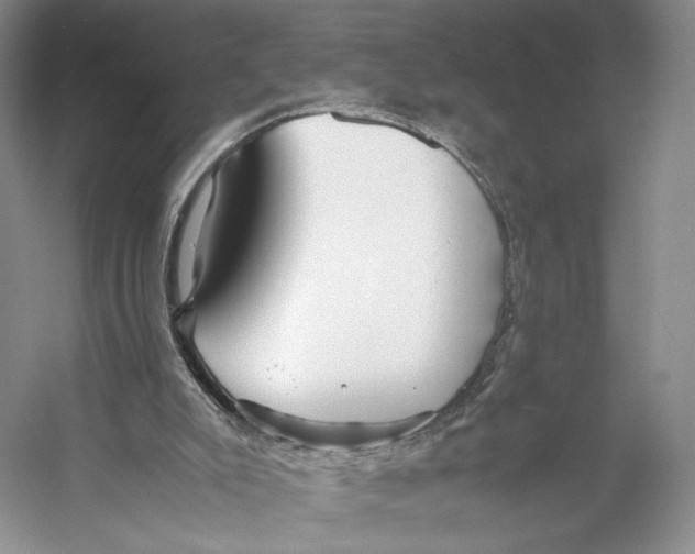 X0000053110007200508081237