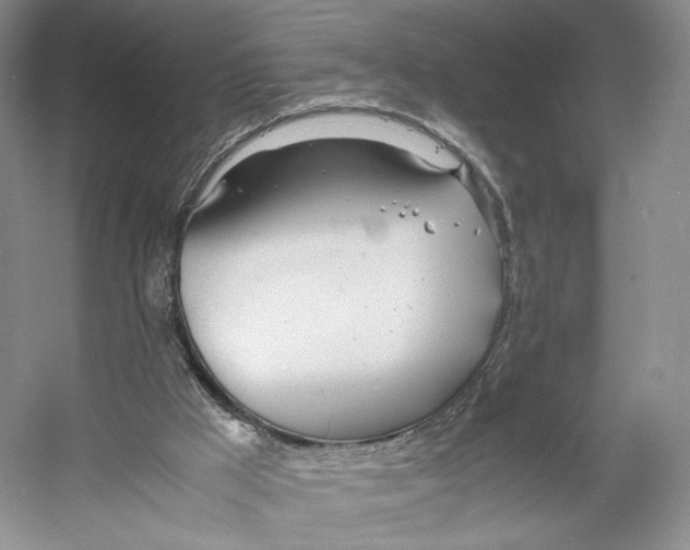 X0000053110009200508081237