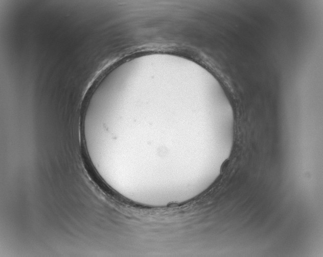 X0000053110011200508081237