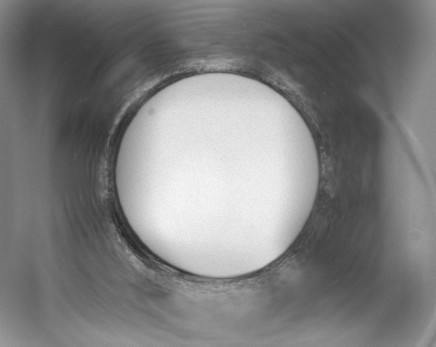 X0000053110012200508081237