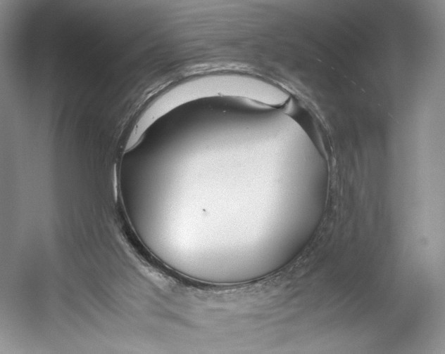 X0000053110013200508081237