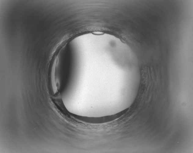 X0000053110015200508081237