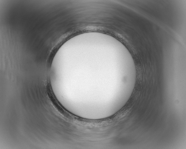 X0000053110016200508081237