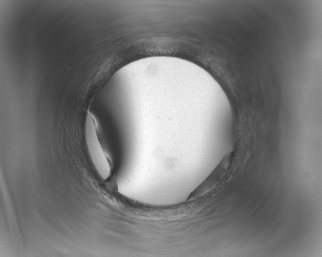 X0000053110017200508081237