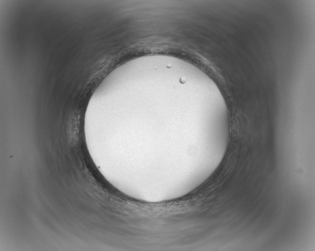 X0000053110018200508081237