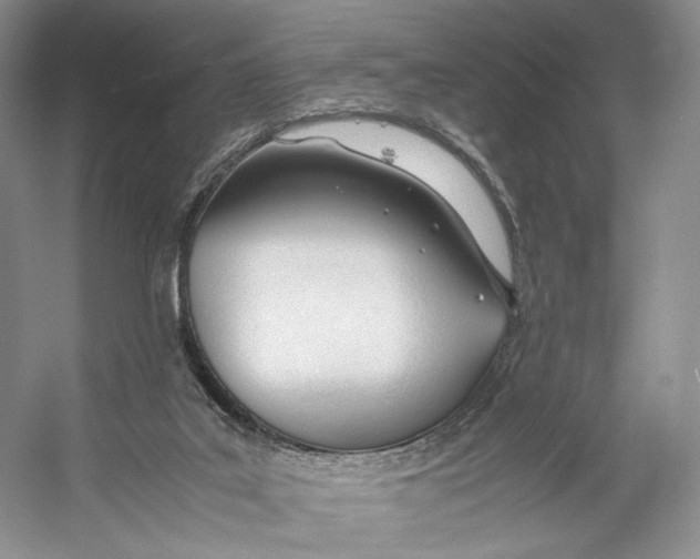 X0000053110019200508081237